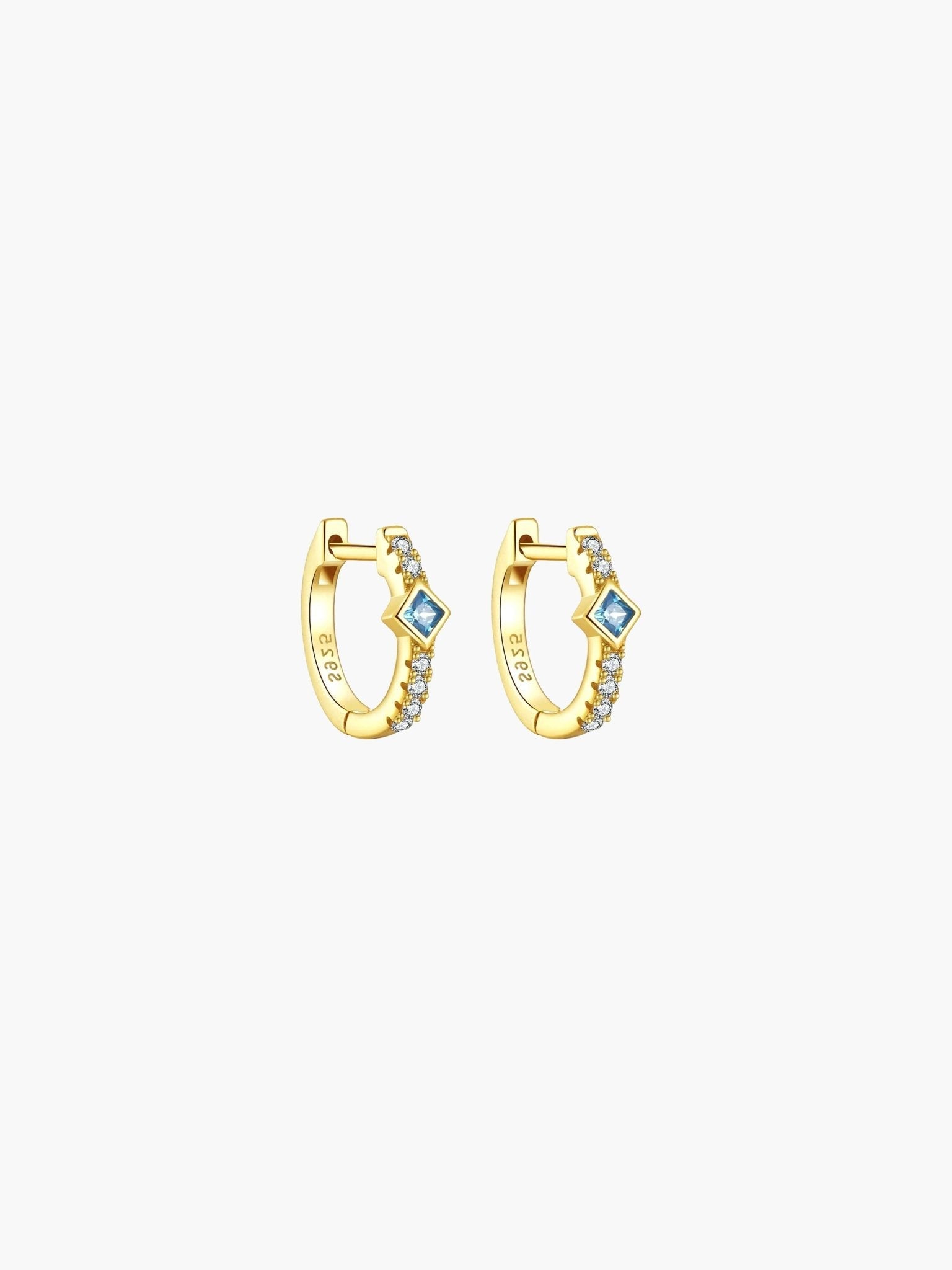 Amber Hoop Earrings
